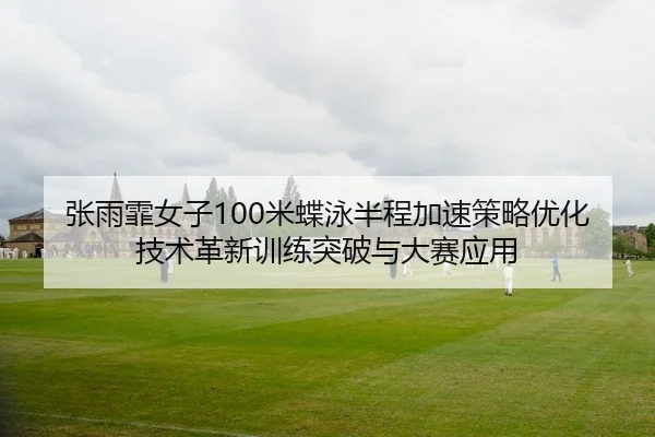 张雨霏女子100米蝶泳半程加速策略优化 技术革新训练突破与大赛应用 - yaxin